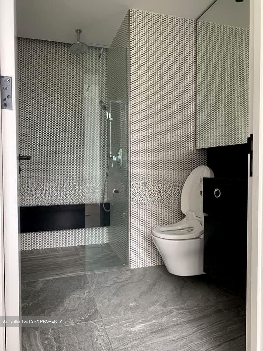 10 Evelyn (D11), Apartment #610707191